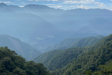 台湾の生態系について